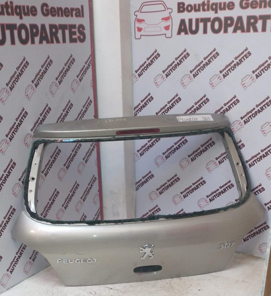 Porton Trasero Peugeot 307