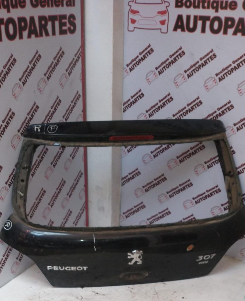 Porton Trasero Peugeot 307 (3)