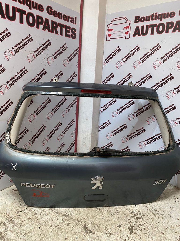 Porton Trasero Peugeot 307
